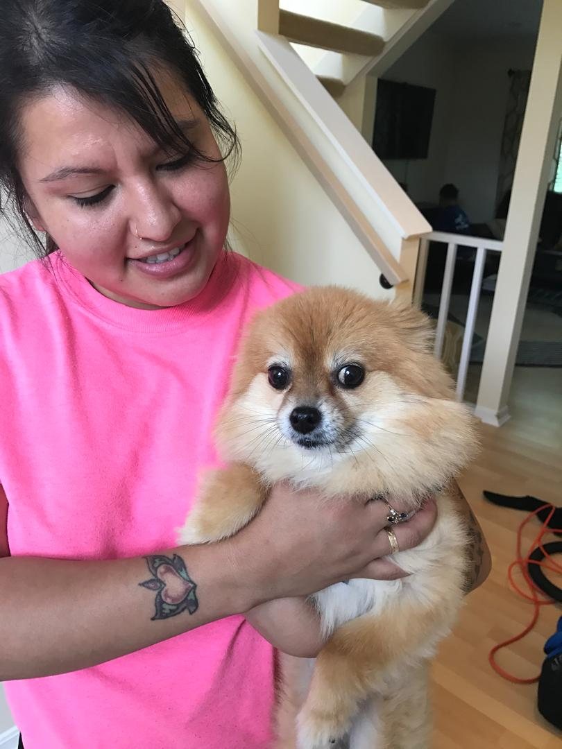 American Maids team member in a pink shirt holding a small fluffy dog