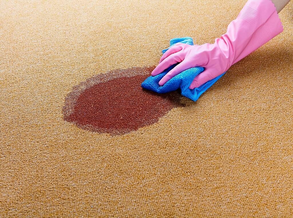 Carpet Stain Removal Services Cincinnati OH