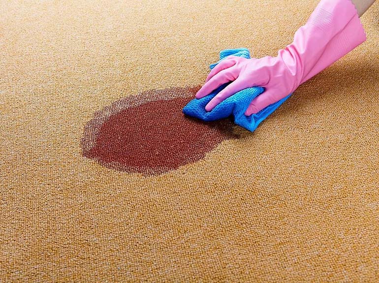 Cincinnati American Maids Carpet Cleaning Removing Stains