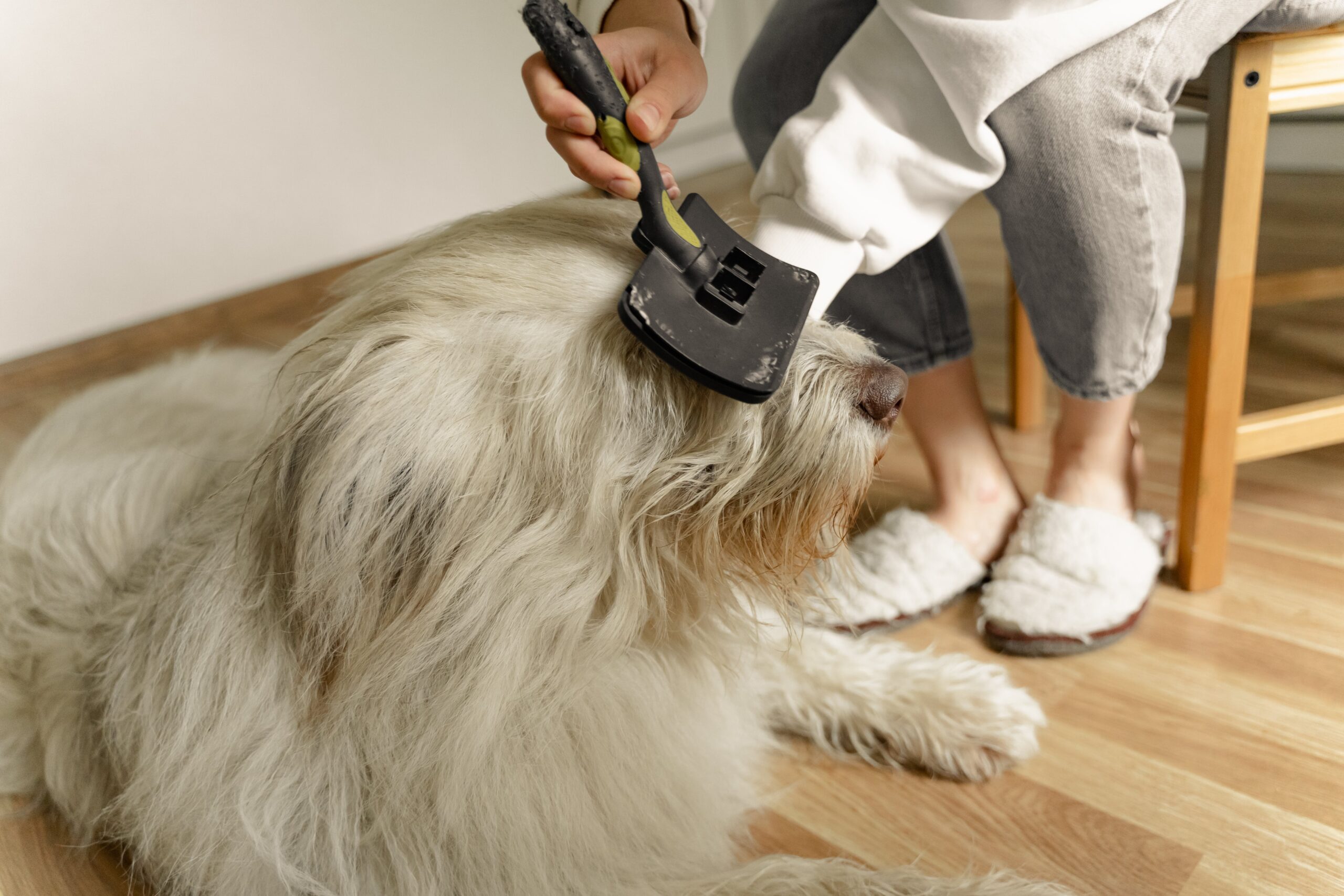 A pet owner brushing their furry companion, managing pet hair and ensuring a clean living space in a West Chester home