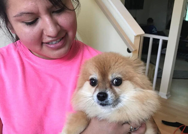 A happy cleaner from american maids holding a fluffy Pomeranian in a pet-friendly home setting.