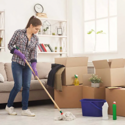 678e5695d4d29999ddb04a69_young-woman-cleaning-home-with-mop-2024-09-25-04-37-21-utc
